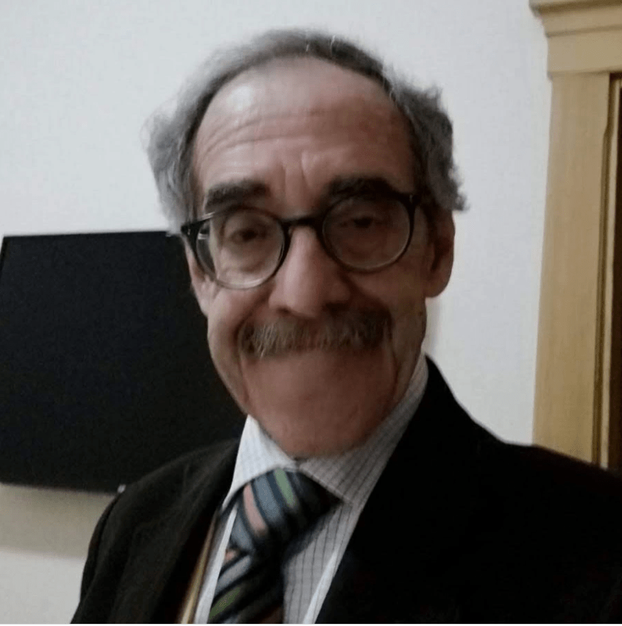 Domenico De Simone, controeconomista